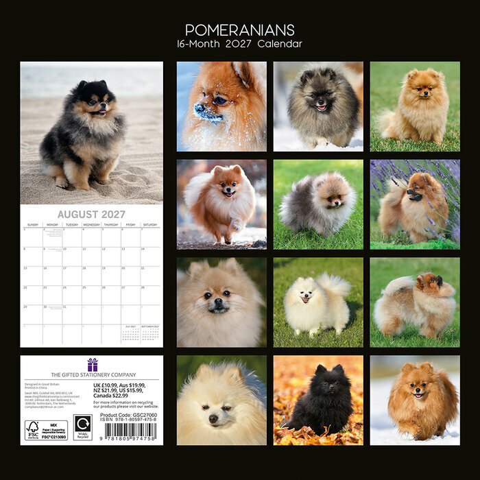 Calendrier papier 2027 Spitz Nain