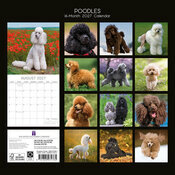 Calendrier papier 2027 Chien Caniche