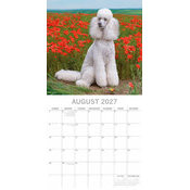 Calendrier 2027 Chien Caniche