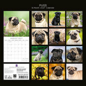 Calendrier papier 2027 Chien Carlin
