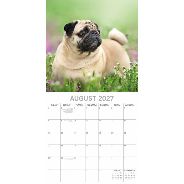 Calendrier  2027 Chien Carlin