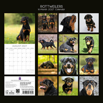 Calendrier 2027 Chien Rottweiler