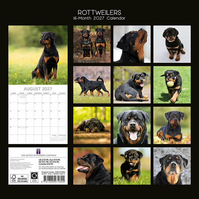 Calendrier papier 2027 Chien Rottweiler