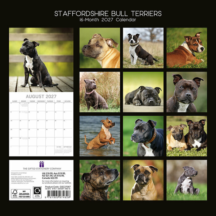 Calendrier 2027 Chien Staffordshire Bull Terrier Staffie Calendrier 2027 Chien Staffordshire Bull Terrier