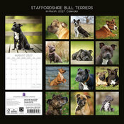 Calendrier 2027 Chien Staffordshire Bull Terrier Staffie Calendrier 2027 Chien Staffordshire Bull Terrier