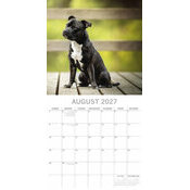 Calendrier 2027 Chien Staffordshire Bull Terrier Staffie Calendrier papier 2027 Chien Staffordshire Bull Terrier