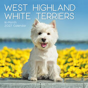 Calendrier Mural 2027 Chien West Highland White Terrier