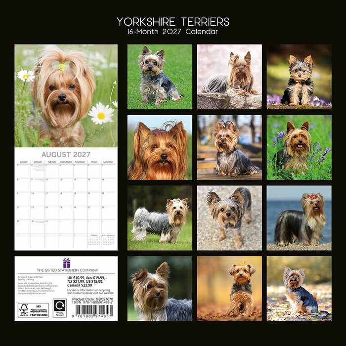 Calendrier 202 mural Yorkshire Terrier