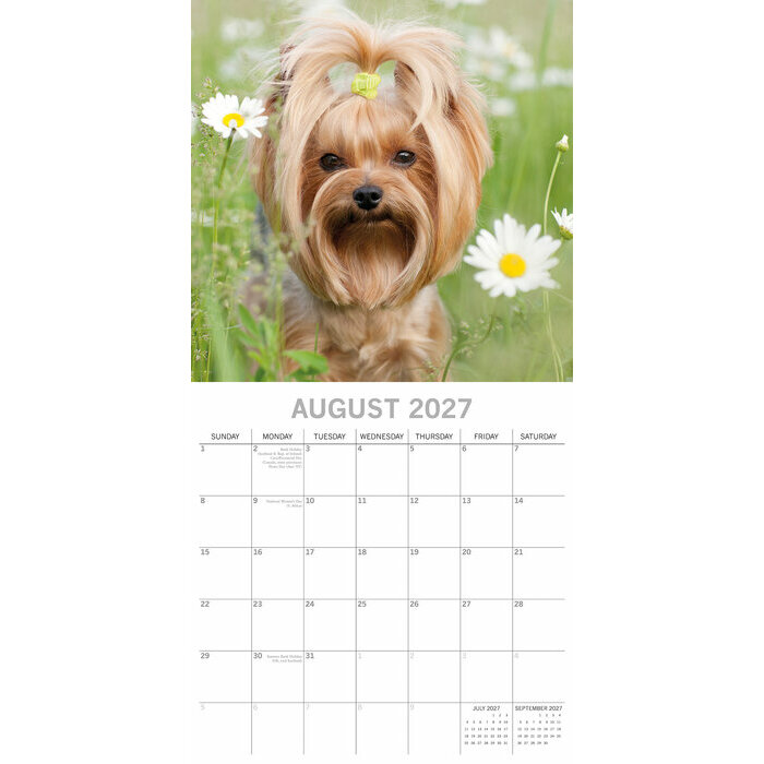 Calendrier 2027 York