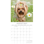 Calendrier 2027 York