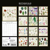 Calendrier 2027 Dessins Botanique Fleurs