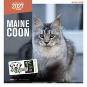 Calendrier 2027 Chat Maine Coon Calendrier Mural 2027 Chat Maine Coon