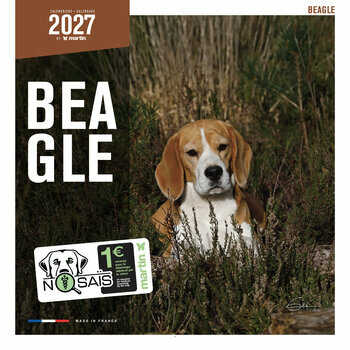 Calendrier 2027 Chien Beagle Chasse