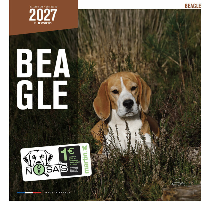 Calendrier 2027 Chien Beagle Chasse Calendrier 2027 Chien Chasse Beagle