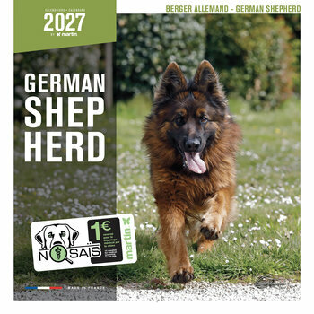 Calendrier 2027  Chien de Race Berger Allemand