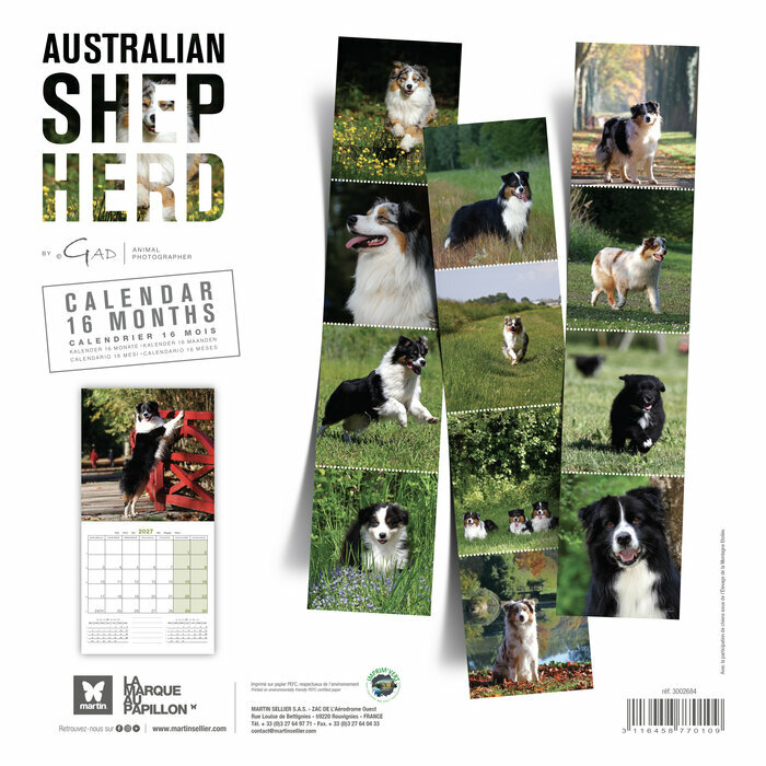 Calendrier 2027 Chien Berger Australien Calendrier 2027 Chien Berger Australien toutes couleurs