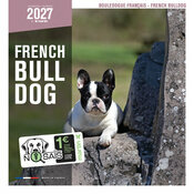 Calendrier 2027 Chien de Race Bouledogue Français Calendrier Mural 2027 Chien Bouledogue Français