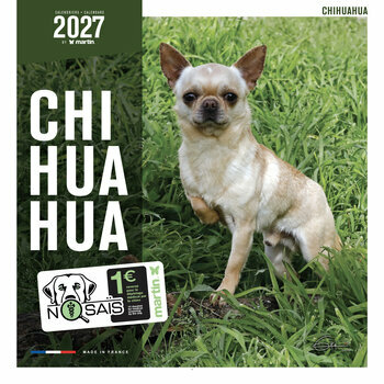 Calendrier 2027 Chien Compagnie Chihuahua 