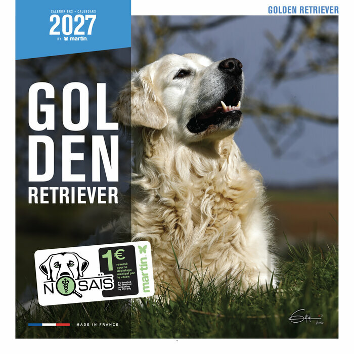 Calendrier Mural 2027 Chien Golden Retriever
