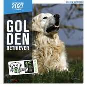 Calendrier Mural 2027 Chien Golden Retriever