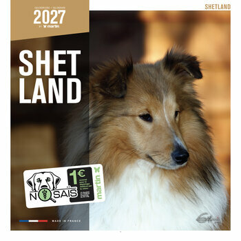 Calendrier 2027 Chien Shetland