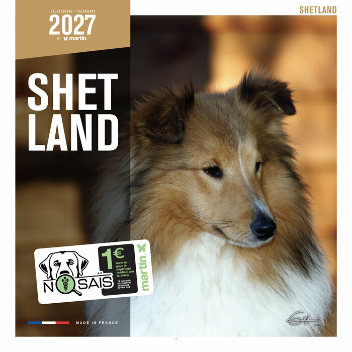 Calendrier Mural 2027 Chien Shetland
