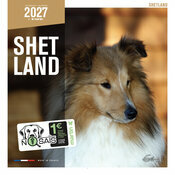 Calendrier Mural 2027 Chien Shetland
