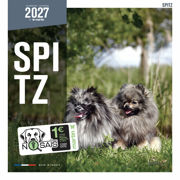 Calendrier Mural 20267 Chien Spitz nain