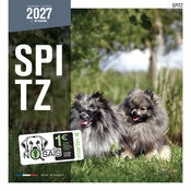 Calendrier Mural 20267 Chien Spitz nain