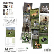 Calendrier Mural 2027 Chien Staffordshire Bull Terrier
