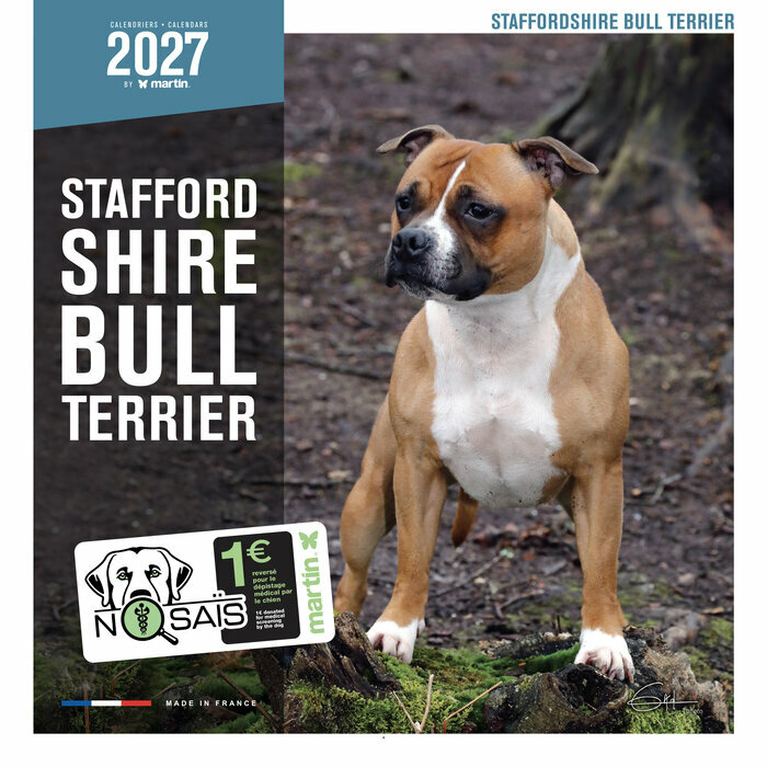 Calendrier 2027 Staffie Chien Staffordshire Bull Terrier