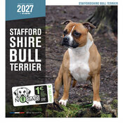 Calendrier 2027 Staffie Chien Staffordshire Bull Terrier