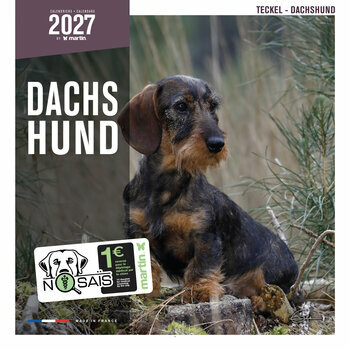 Calendrier 2027 Chien Teckels Tous Poils
