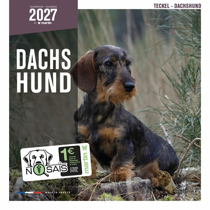 Calendrier Mural 2027 Chien Teckels