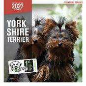 Calendrier Mural 2027 Chien Yorkshire terrier