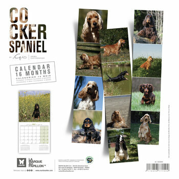 Calendrier 2027 Chien Cocker Anglais Spaniel