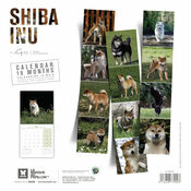 Calendrier 2027 York Shiba Inu 