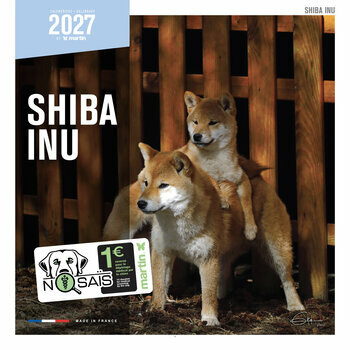 Calendrier 2027 Chien Shiba Inu