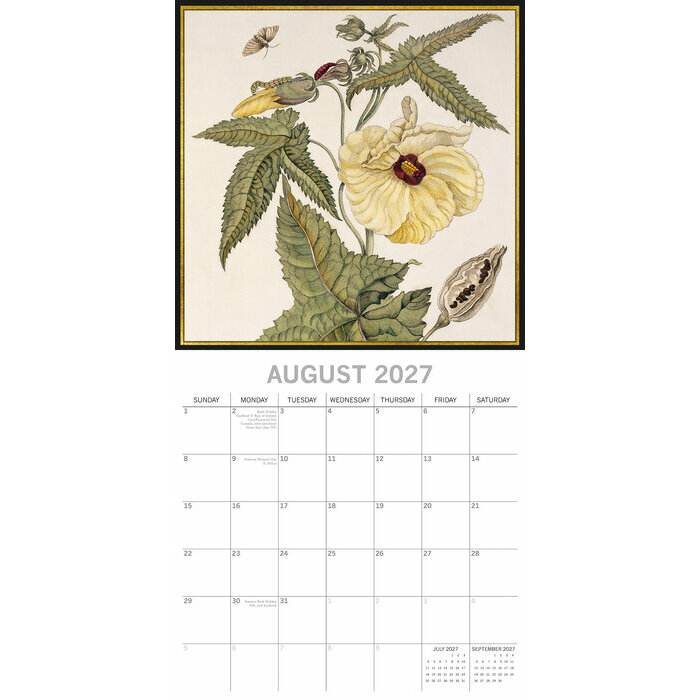 Calendrier 2027 Dessin Insectes Collections Calendrier Mural 2027 Dessin Insectes