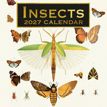 Calendrier 2027 Dessin Insectes Collections