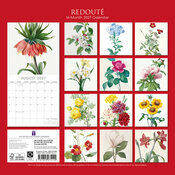 Calendrier 2027 Redouté Dessins Fleurs Botanique Calendrier 2027 Redouté Dessins Fleurs Botanique