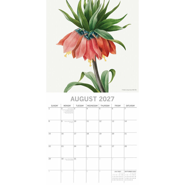 Calendrier 2027 Redouté Dessins Fleurs Botanique Calendrier Mural 2027 Redouté Fleurs Botanique