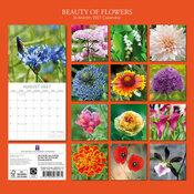 Calendrier 2027 Beauté des Fleurs Tulipes Roses Calendrier Mural 2027 Beauté des Fleurs Tulipes