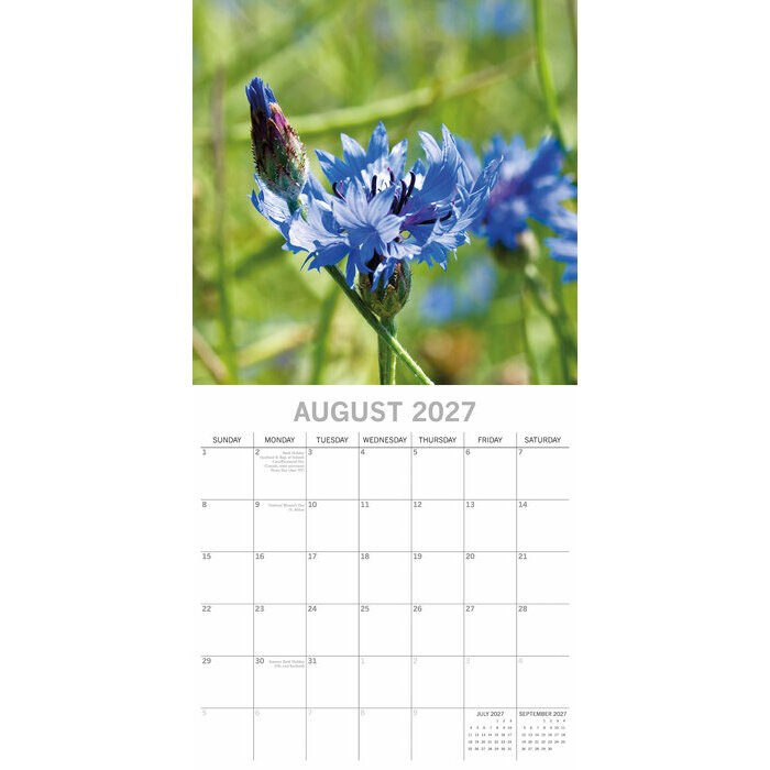 Calendrier 2027 Beauté des Fleurs Tulipes Roses Calendrier Mural 2027 Beauté des Fleurs Roses