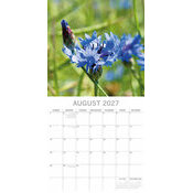 Calendrier 2027 Beauté des Fleurs Tulipes Roses Calendrier Mural 2027 Beauté des Fleurs Roses