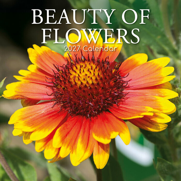 Calendrier 2027 Beauté des Fleurs Tulipes Roses Calendrier Mural 2027 Beauté des Fleurs Tulipes Roses