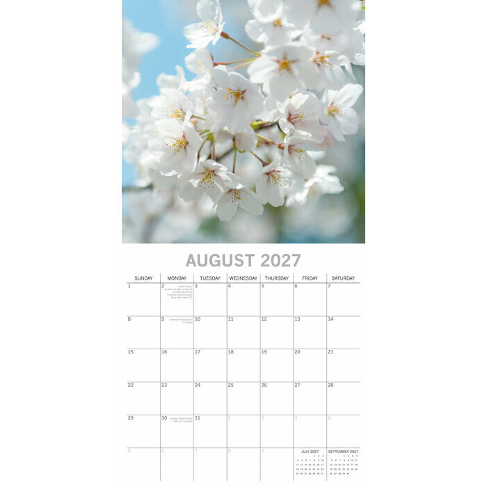 Calendrier Mural 2027 Arbres en Fleurs Printemps 