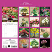 Calendrier 2027 Bonsaïs d'Intérieur Ficus Erable Calendrier 2027 Bonsaïs d'Intérieur Ficus Erable