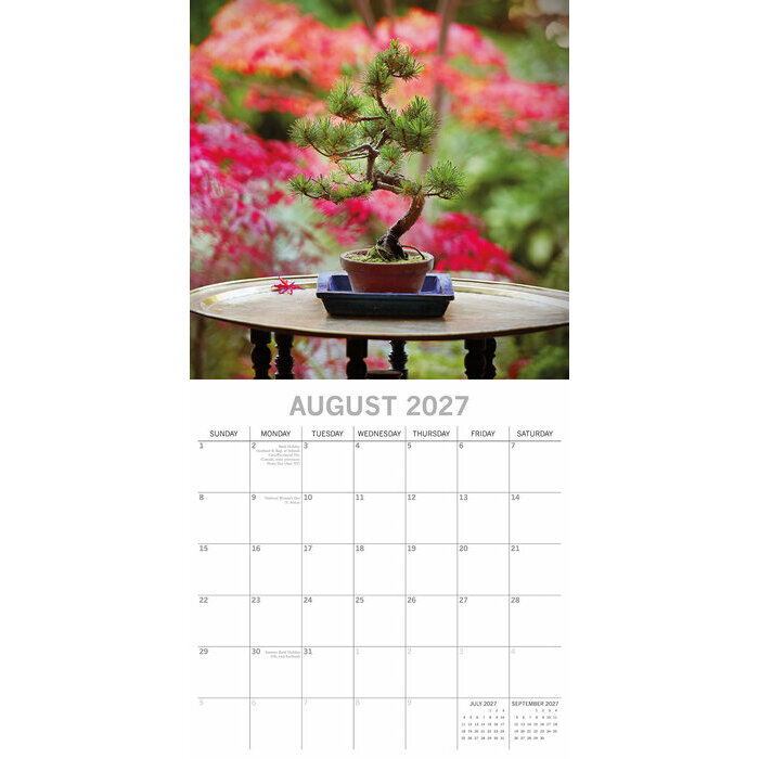 Calendrier 2027 Bonsaïs d'Intérieur Ficus Erable Calendrier Mural 2027 Bonsaïs d'Intérieur