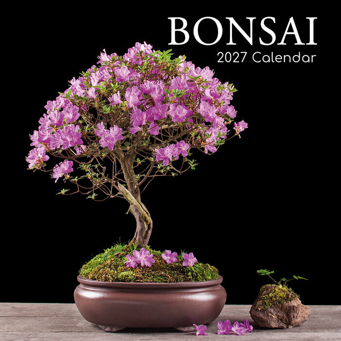 Calendrier 2027 Bonsaïs d'Intérieur Ficus Erable Calendrier Mural 2027 Bonsaïs d'Intérieur Ficus Erable